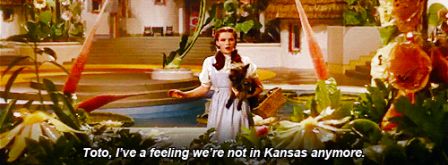 Not_in_Kansas_any_more.gif