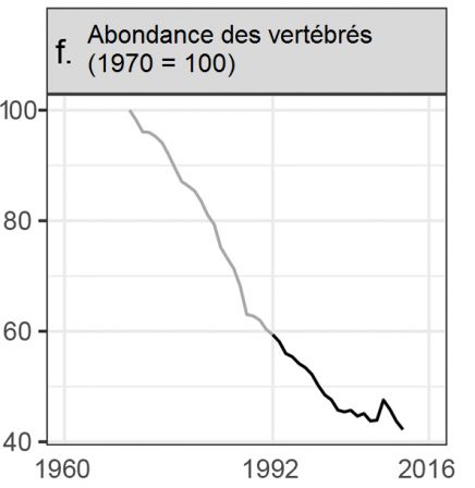 Avertissement_f_-_Vertebres.png