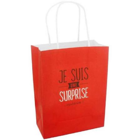 Je_suis_une_surprise.jpg